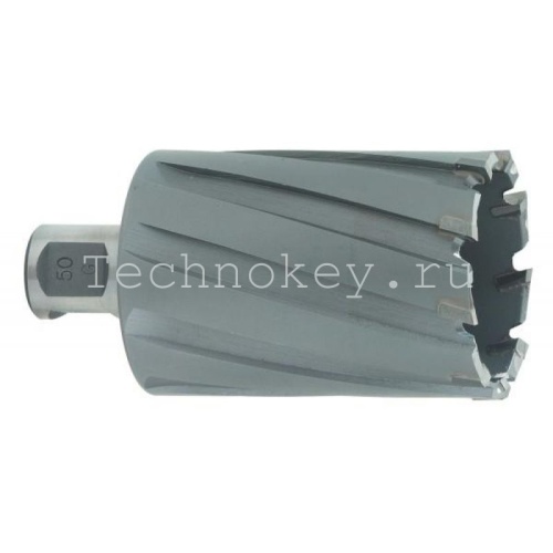 Metabo HM фреза 19x55мм, хвостовик 19 мм 626576000 фото