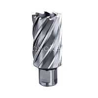 Metabo HSS фреза 17x55мм, хвостовик 19 мм 626526000 фото